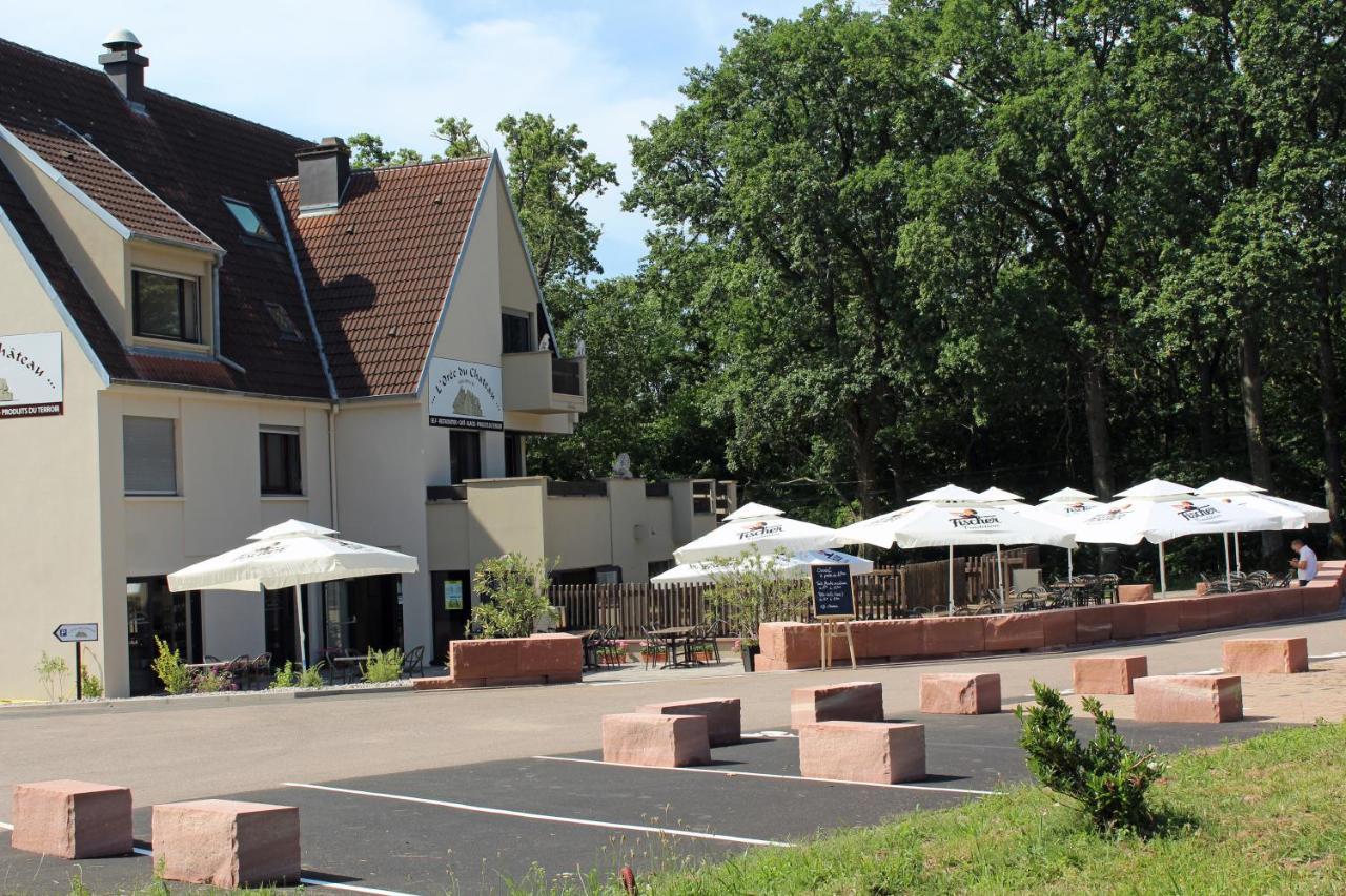 Gite L'Oree Du Chateau - Appartement Potiron Orschwiller Exterior foto